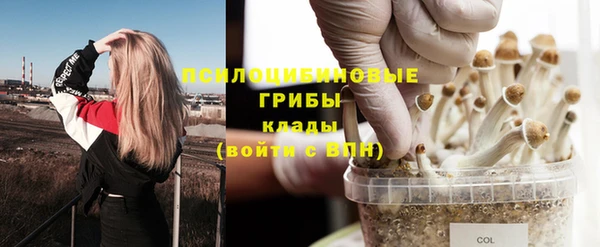мдпв Киренск